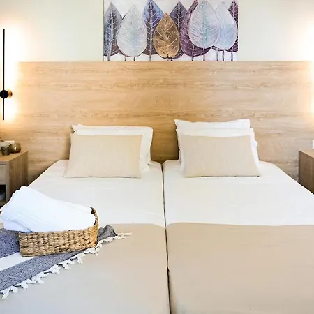 Cozy #8 Apartment